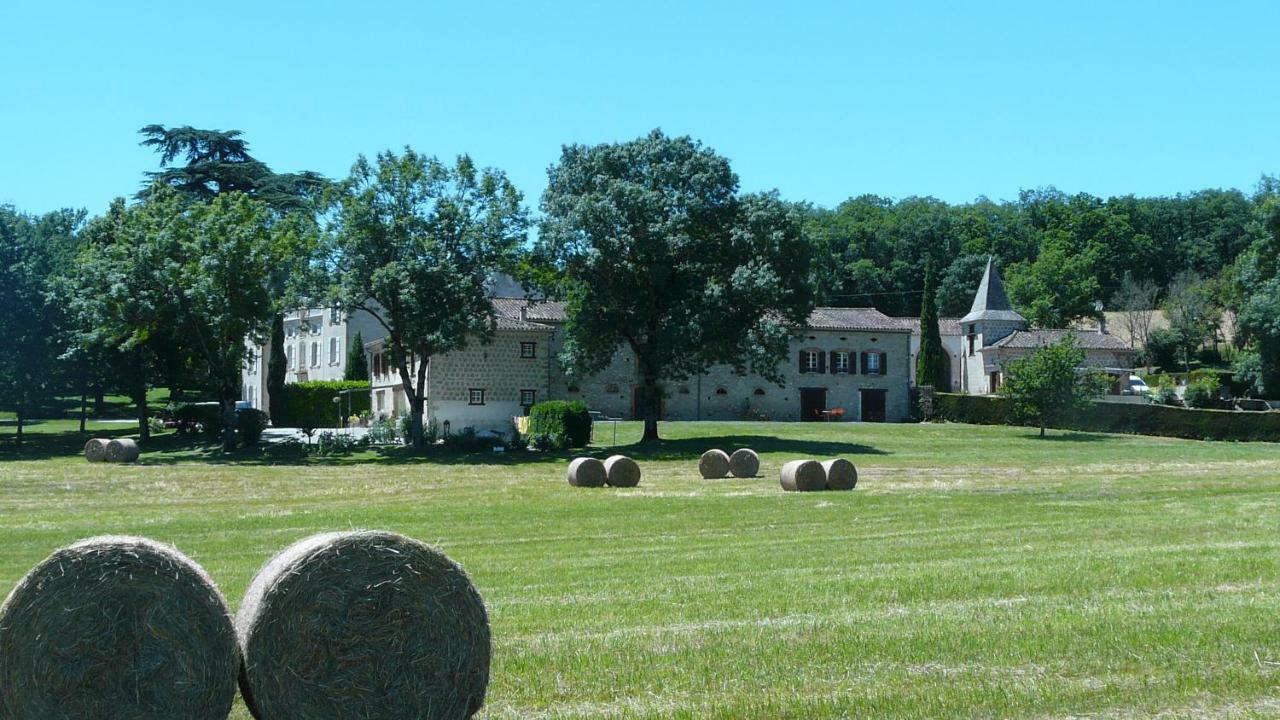 Chateau De La Bousquetarie Lempaut Exterior foto